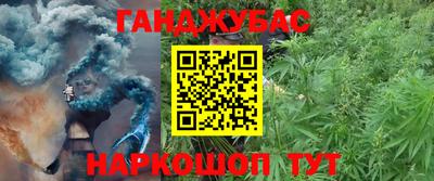 МДПВ Рыбинск