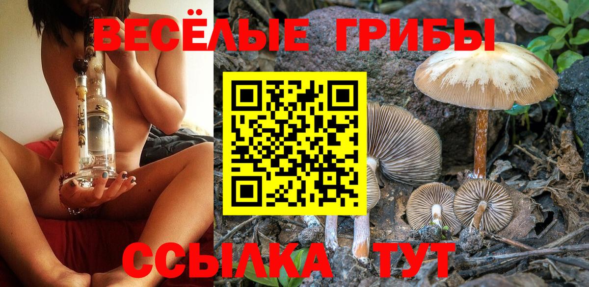 Псилоцибиновые грибы мицелий Прохладный