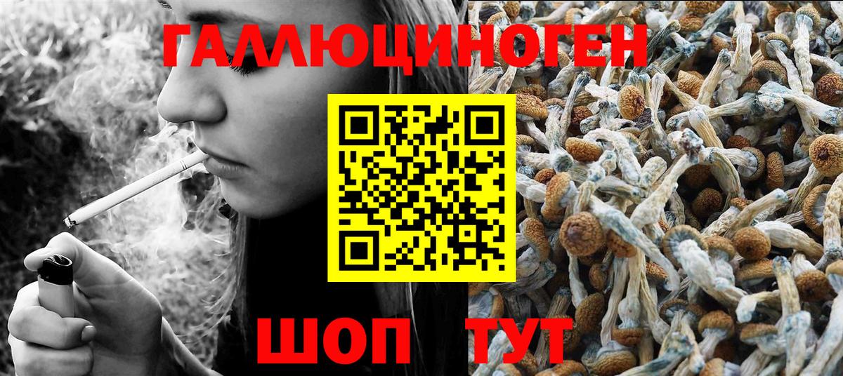 Галлюциногенные грибы GOLDEN TEACHER  Вход с VPN  Прохладный  Псилоцибиновые грибы Magic Shrooms 